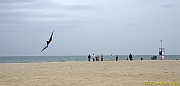 Cervia Cup - Euro Cup 2013 - 348